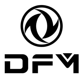 dfm logo